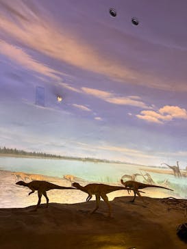 福井県立恐竜博物館に投稿された画像（2025/6/9）