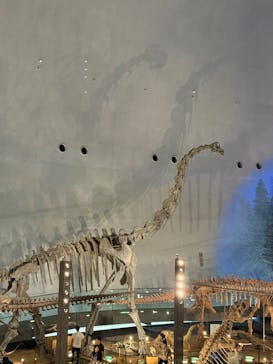福井県立恐竜博物館に投稿された画像（2025/6/9）