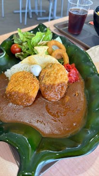 福井県立恐竜博物館に投稿された画像（2025/6/9）