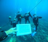 青の洞窟専門店　沖縄ダイビングショップ和に投稿された画像（2025/6/9）