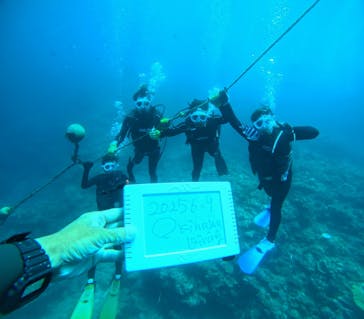 青の洞窟専門店　沖縄ダイビングショップ和に投稿された画像（2025/6/9）