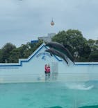 しながわ水族館に投稿された画像（2025/6/9）