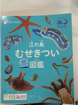 新江ノ島水族館に投稿された画像（2025/6/9）
