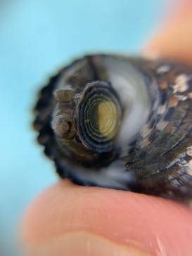 新江ノ島水族館に投稿された画像（2025/6/9）