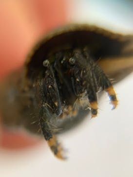 新江ノ島水族館に投稿された画像（2025/6/9）