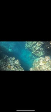 石垣島 ADVENTURE PiPi（イシガキジマアドベンチャーピピ）に投稿された画像（2025/6/9）