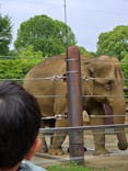 恩賜上野動物園に投稿された画像（2025/6/9）