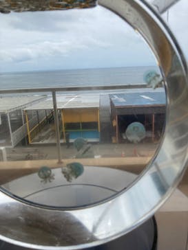 新江ノ島水族館に投稿された画像（2025/6/9）