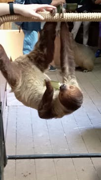 カワスイ 川崎⽔族館に投稿された画像（2025/6/9）