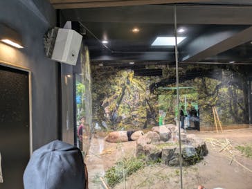 恩賜上野動物園に投稿された画像（2025/6/9）