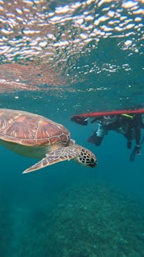  マリンショップHAPPYに投稿された画像（2025/6/9）