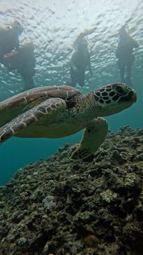  マリンショップHAPPYに投稿された画像（2025/6/9）