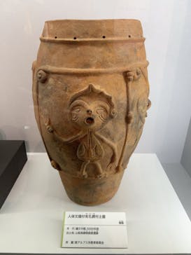 特別展「古代DNA－日本人のきた道」（国立科学博物館）に投稿された画像（2025/6/9）