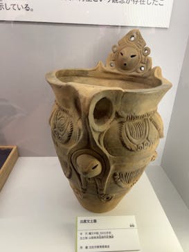 特別展「古代DNA－日本人のきた道」（国立科学博物館）に投稿された画像（2025/6/9）