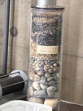 しながわ水族館に投稿された画像（2025/6/9）