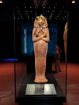 ACN ラムセス大王展 ファラオたちの黄金に投稿された画像（2025/6/9）