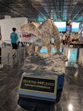 福井県立恐竜博物館に投稿された画像（2025/6/9）