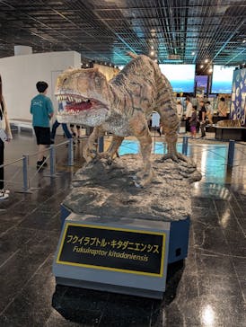 福井県立恐竜博物館に投稿された画像（2025/6/9）