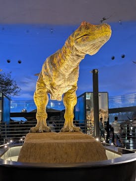 福井県立恐竜博物館に投稿された画像（2025/6/9）