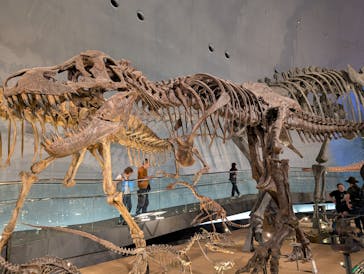 福井県立恐竜博物館に投稿された画像（2025/6/9）