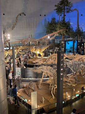 福井県立恐竜博物館に投稿された画像（2025/6/9）