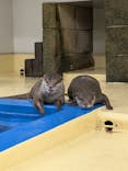 越前松島水族館に投稿された画像（2025/6/9）
