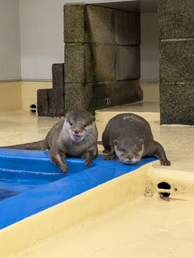 越前松島水族館に投稿された画像（2025/6/9）