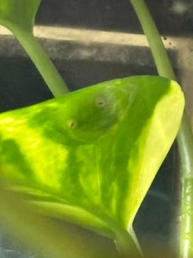 越前松島水族館に投稿された画像（2025/6/9）