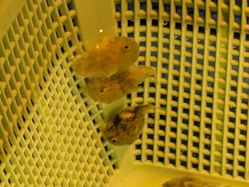 越前松島水族館に投稿された画像（2025/6/9）