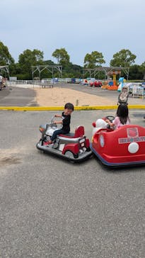 淡路ファームパーク イングランドの丘に投稿された画像（2025/6/9）