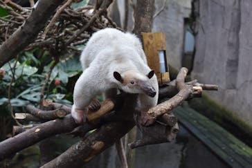 那須どうぶつ王国に投稿された画像（2025/6/9）