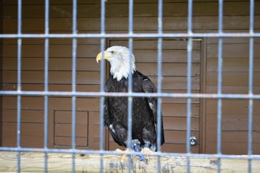 那須どうぶつ王国に投稿された画像（2025/6/9）