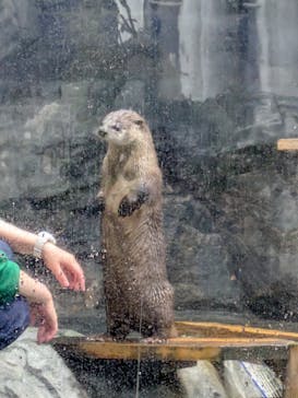 アクアワールド茨城県大洗水族館に投稿された画像（2025/6/9）