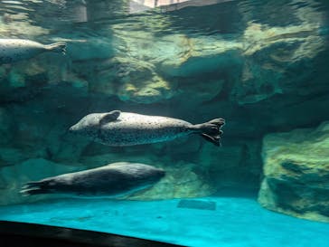 アクアワールド茨城県大洗水族館に投稿された画像（2025/6/9）