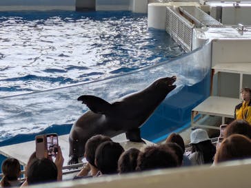 アクアワールド茨城県大洗水族館に投稿された画像（2025/6/9）