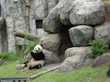恩賜上野動物園に投稿された画像（2025/6/9）