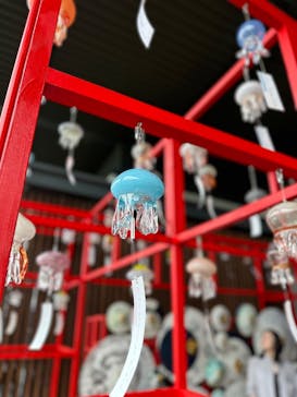 京都水族館に投稿された画像（2025/6/9）