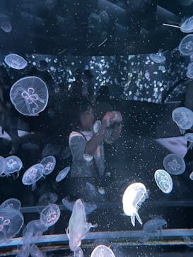 京都水族館に投稿された画像（2025/6/9）