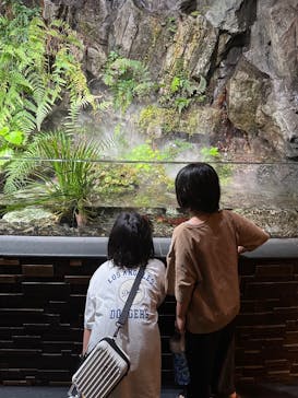 京都水族館に投稿された画像（2025/6/9）