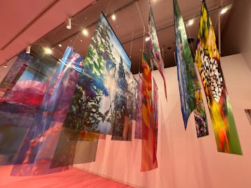 ぎふワールド・ローズガーデンに投稿された画像（2025/6/9）