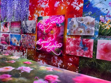 ぎふワールド・ローズガーデンに投稿された画像（2025/6/9）