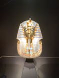 MYSTERY OF TUTANKHAMEN 体感型古代エジプト展に投稿された画像（2025/6/9）