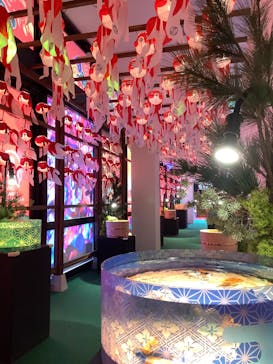 沖縄金魚ミュージアムに投稿された画像（2025/6/9）