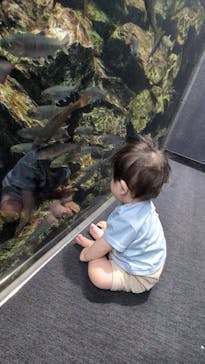 京都水族館に投稿された画像（2025/6/9）