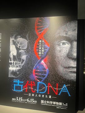 特別展「古代DNA－日本人のきた道」（国立科学博物館）に投稿された画像（2025/6/9）