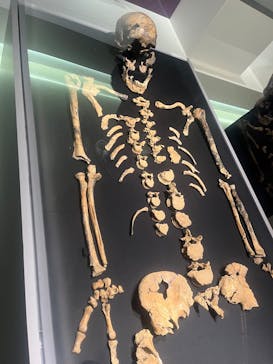 特別展「古代DNA－日本人のきた道」（国立科学博物館）に投稿された画像（2025/6/9）