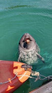 太地町立くじらの博物館に投稿された画像（2025/6/9）