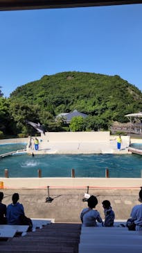 太地町立くじらの博物館に投稿された画像（2025/6/9）