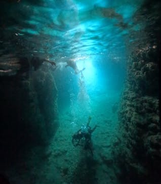 武藤潜水に投稿された画像（2025/6/9）