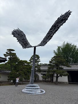 元離宮二条城に投稿された画像（2025/6/9）